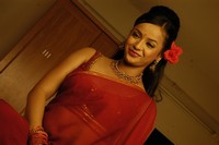 Tanu Roy Hot Saree Photos